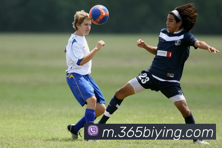 体育App 体育App